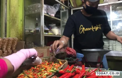 harga cabai 100 ribu