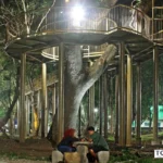 hutan joyoboyo malam hari