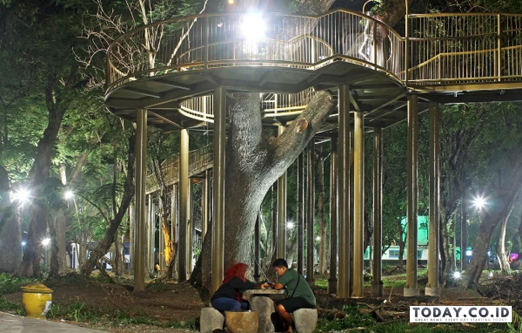 hutan joyoboyo malam hari