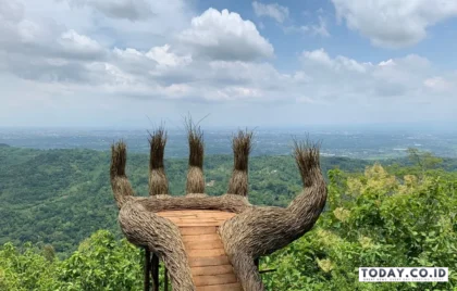 Hutan Pinus Pengger Jogja