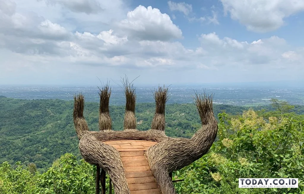 Hutan Pinus Pengger Jogja