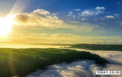 kebun buah mangunan bantul