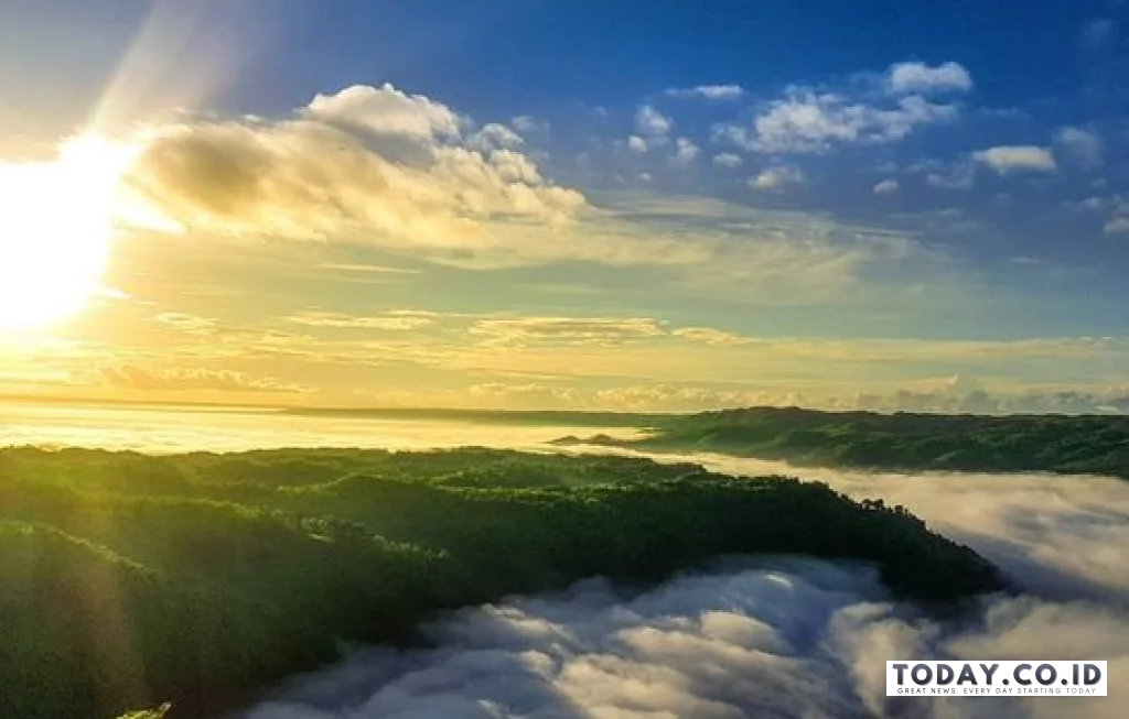 kebun buah mangunan bantul