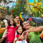 Bali Bird Park
