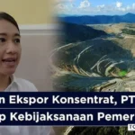 Larangan Ekspor Konsentrat