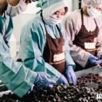 akuisisi Momogi Wahana Interfood COCO